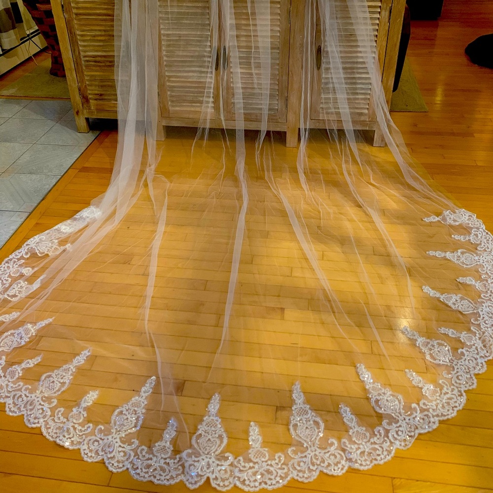 One-tier Lace Applique Edge Cathedral Bridal Veil